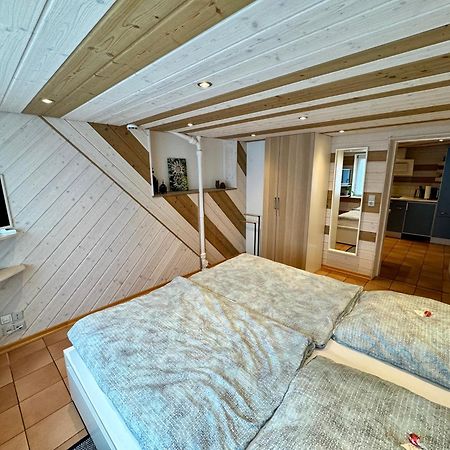 Schwabennestle - Ferienwohnung Albstadt-Onstmettingen Eksteriør billede